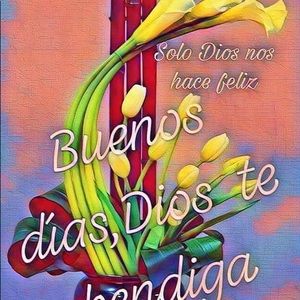 Meet your Posher, Elsa